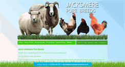 Desktop Screenshot of jacksmerepurebreeds.co.uk